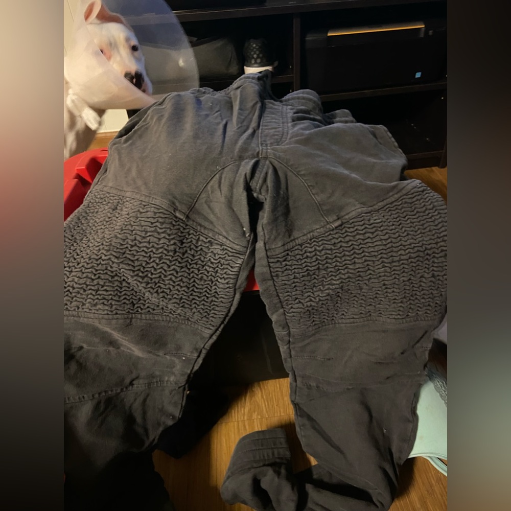 pants